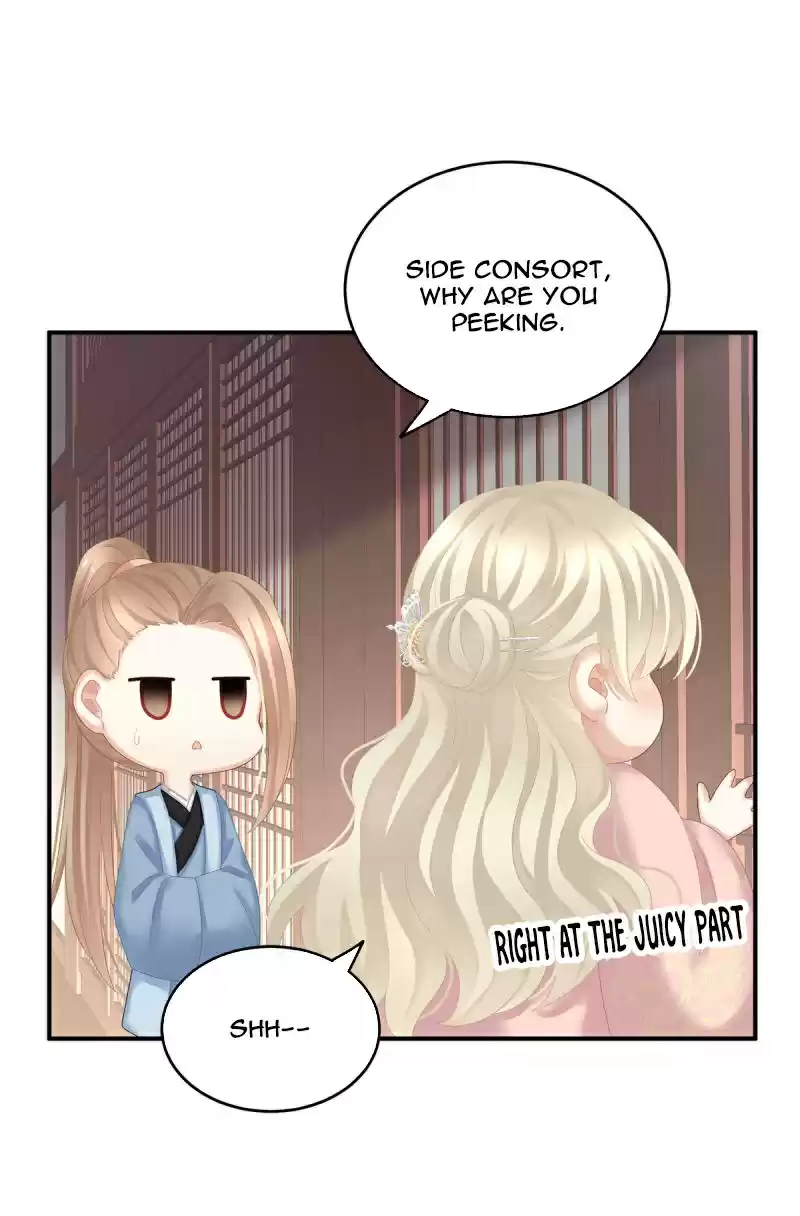 Empress's Harem ch.138