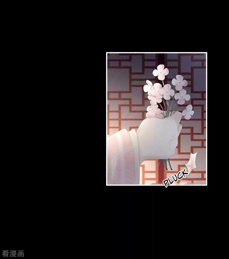 Empress's Harem ch.81