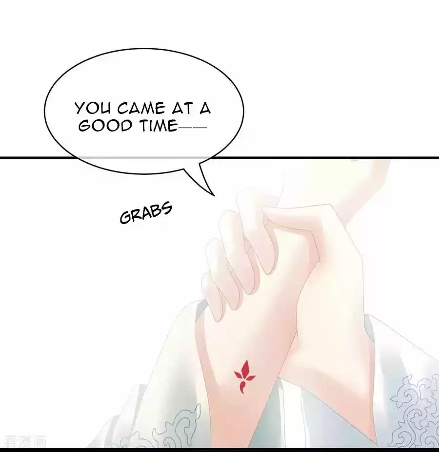 Empress's Harem Chapter 100