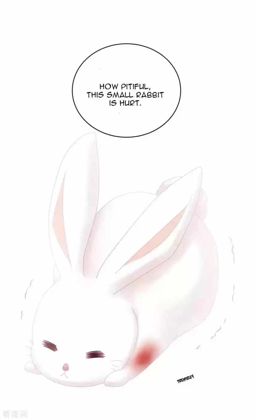 Empress's Harem Chapter 113