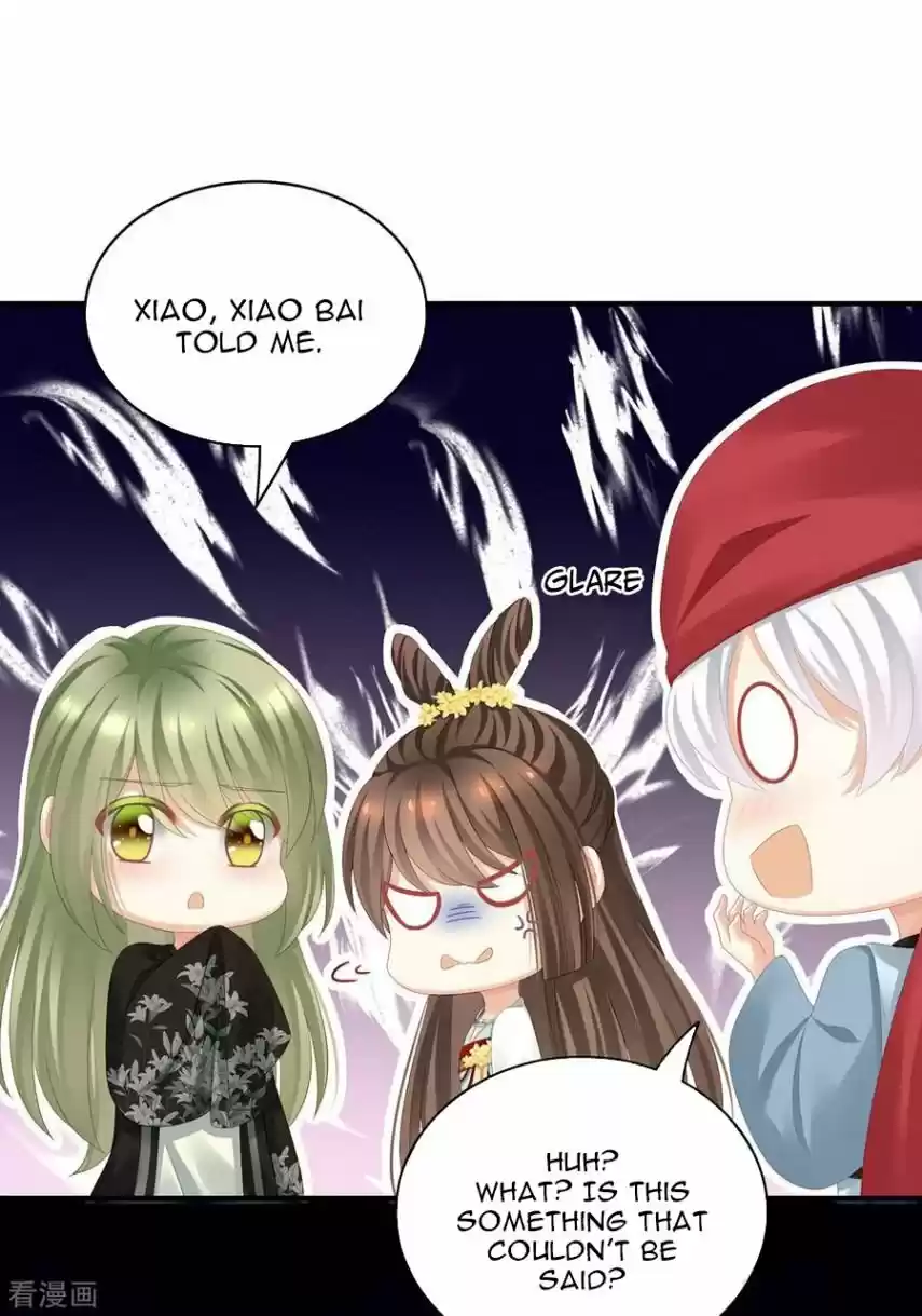 Empress's Harem Chapter 114