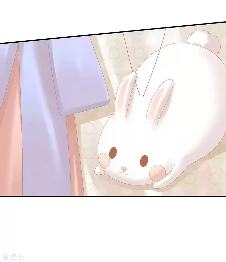 Empress's Harem Chapter 117