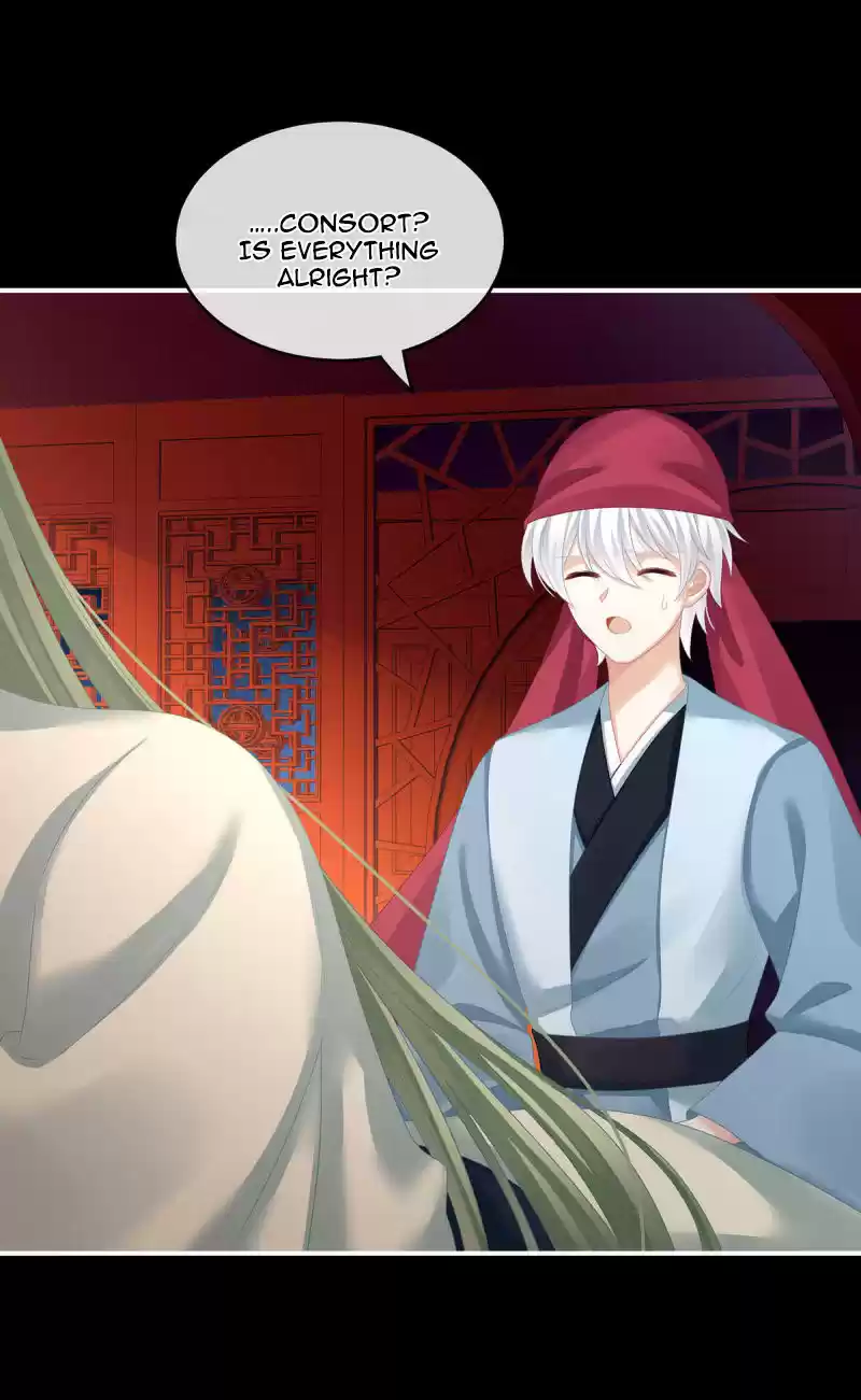 Empress's Harem Chapter 151