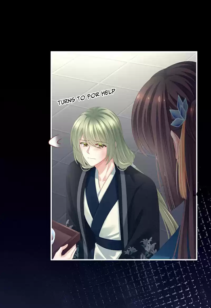 Empress's Harem Chapter 155