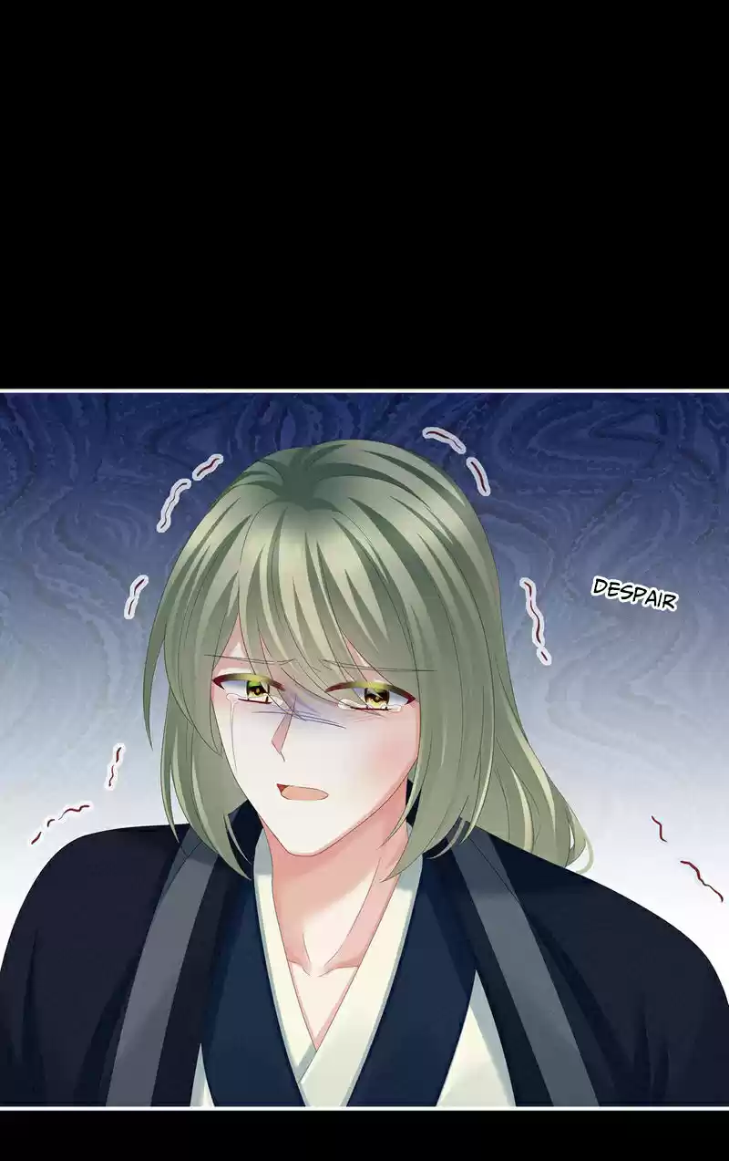 Empress's Harem Chapter 155