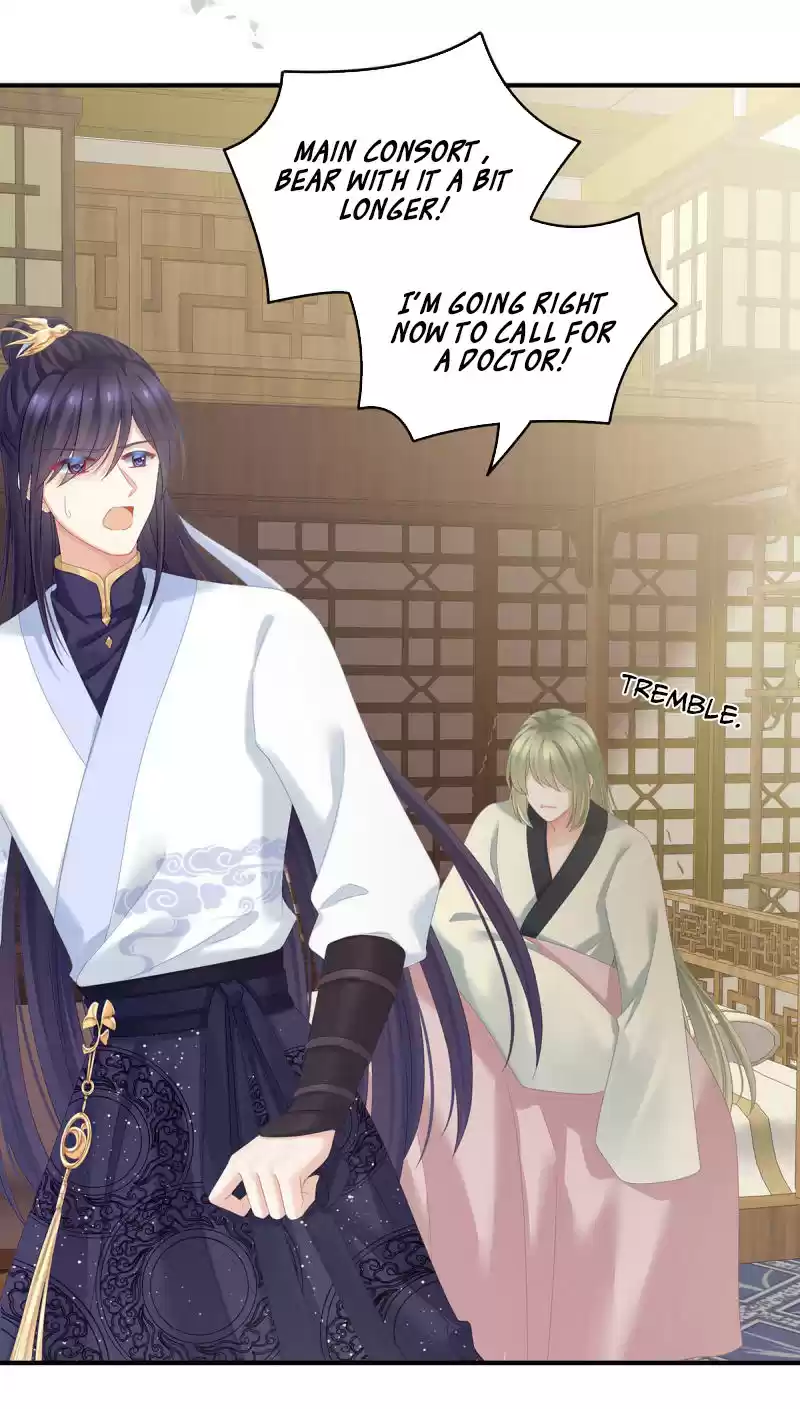 Empress's Harem Chapter 157