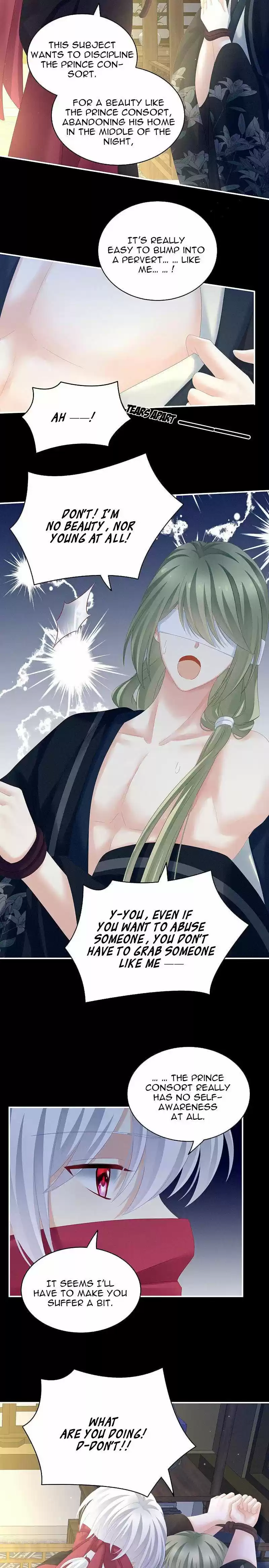 Empress's Harem Chapter 200