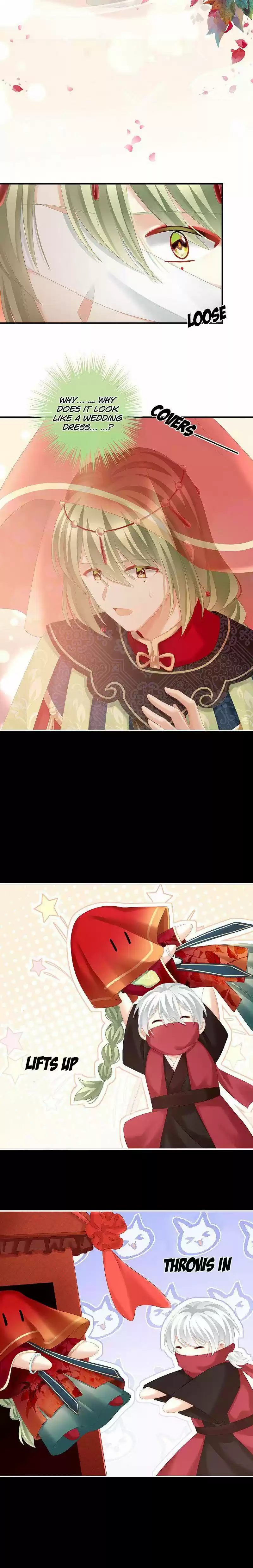 Empress's Harem Chapter 200