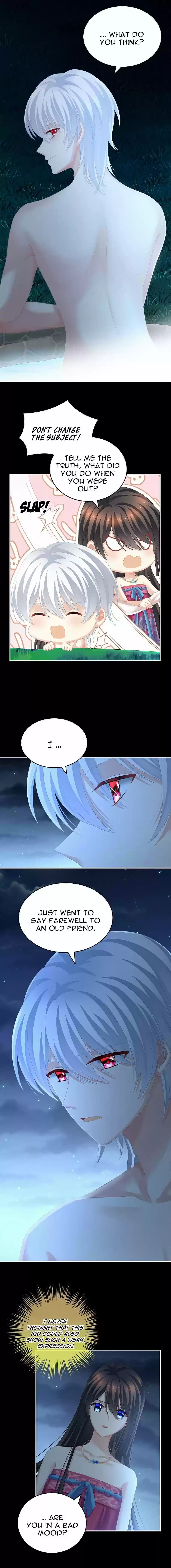 Empress's Harem Chapter 206