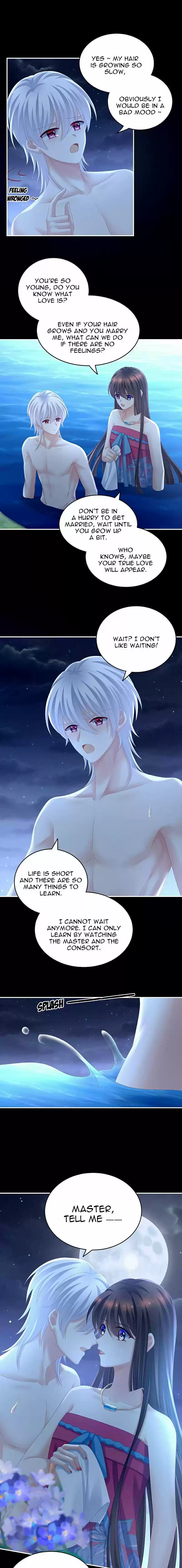 Empress's Harem Chapter 206