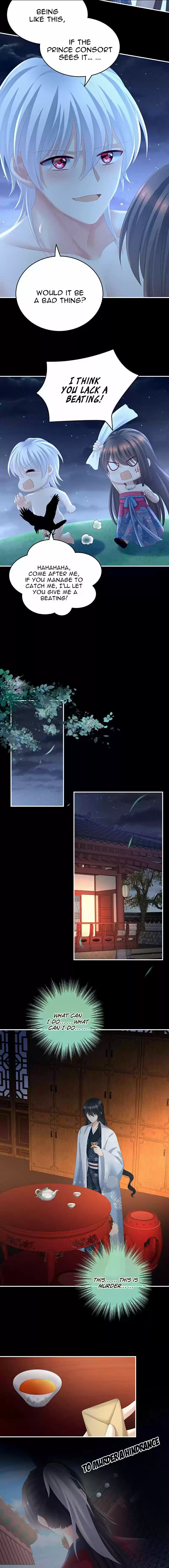 Empress's Harem Chapter 206