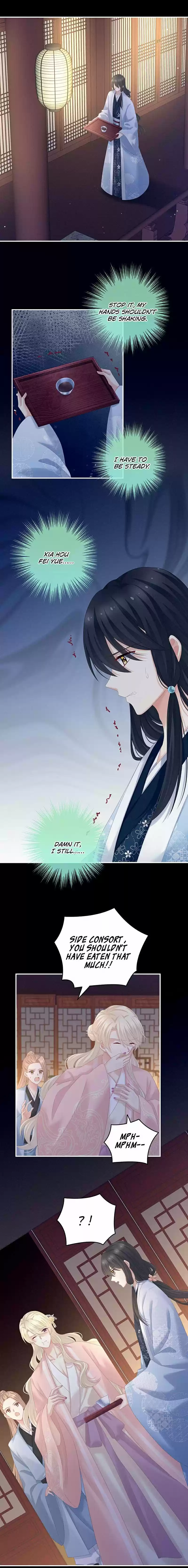 Empress's Harem Chapter 207