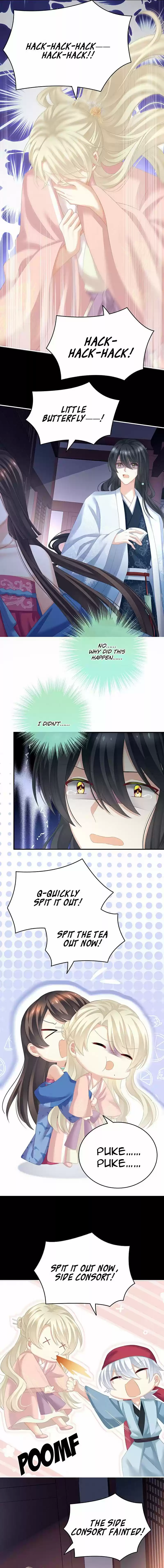 Empress's Harem Chapter 207