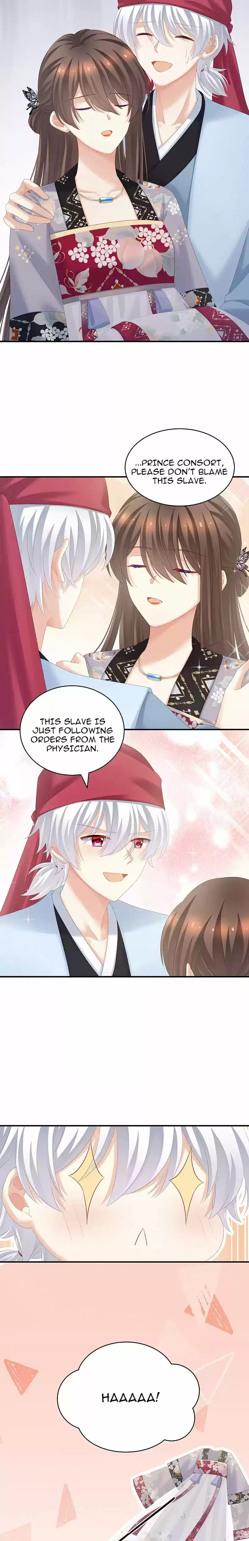 Empress's Harem Chapter 218