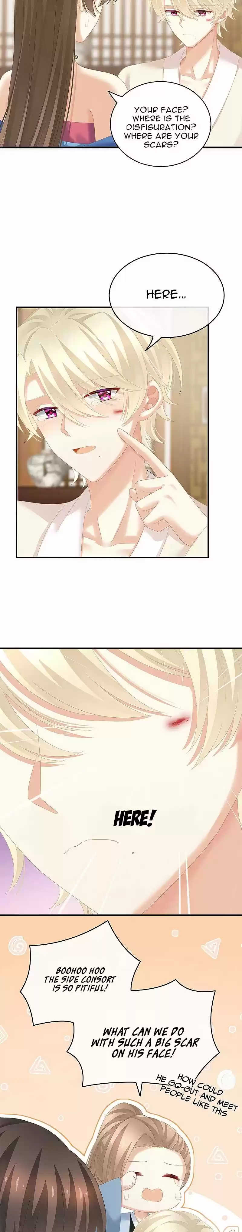 Empress's Harem Chapter 224