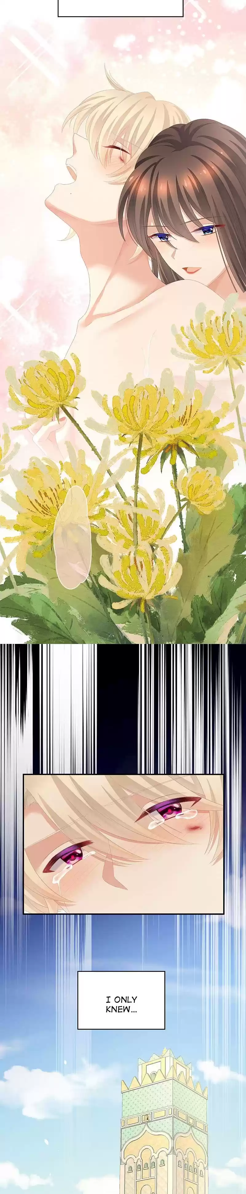 Empress's Harem Chapter 229