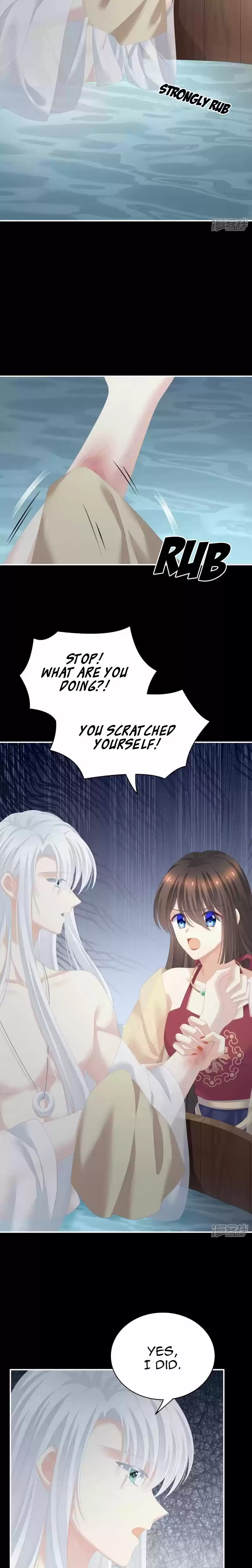 Empress's Harem Chapter 242