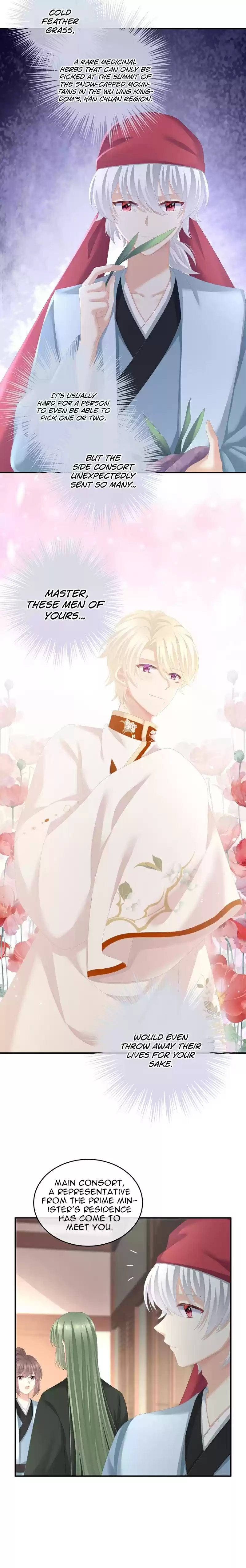 Empress's Harem Chapter 244