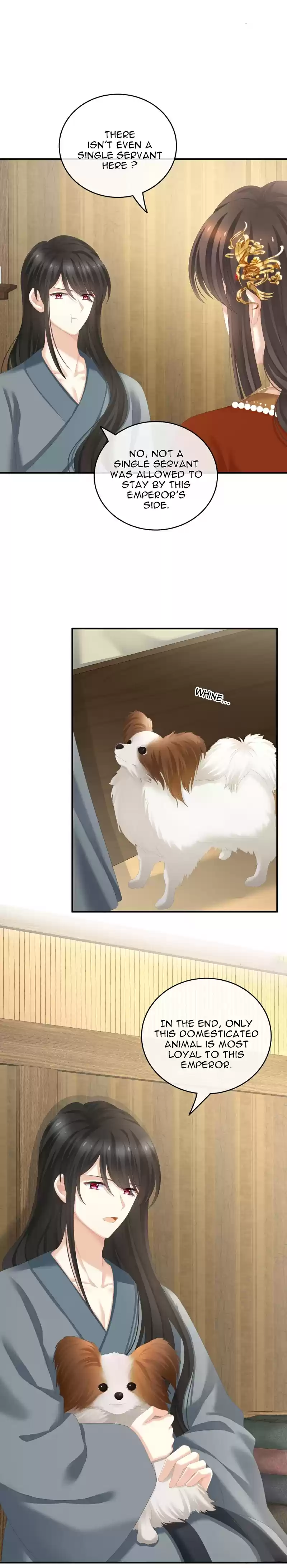 Empress's Harem Chapter 249