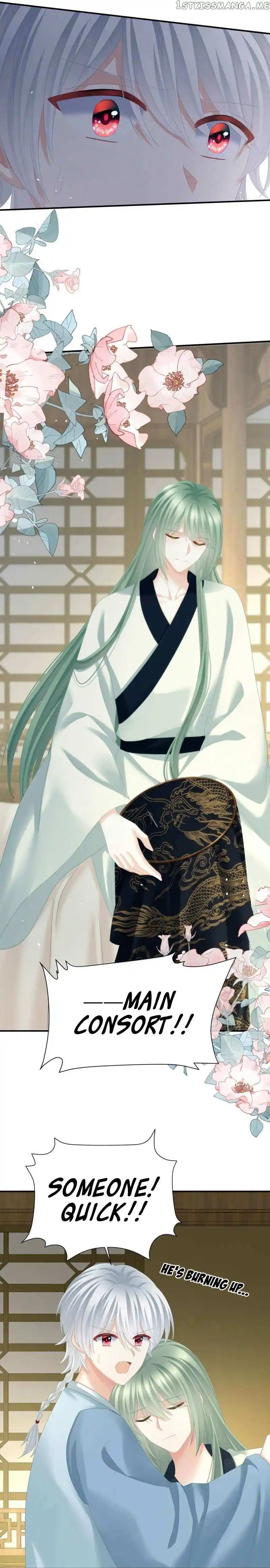 Empress's Harem Chapter 371