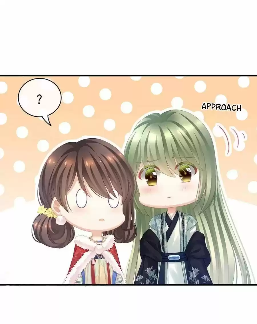 Empress's Harem Chapter 68