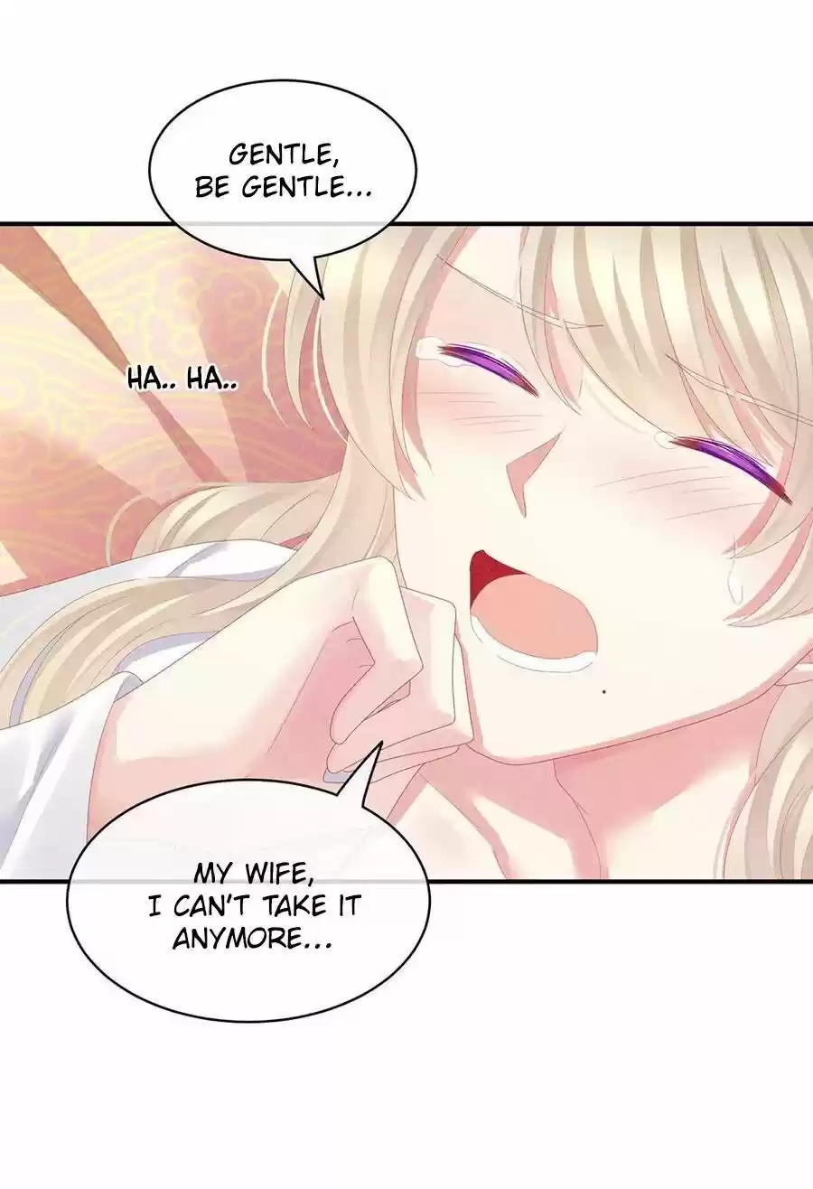 Empress's Harem Chapter 68