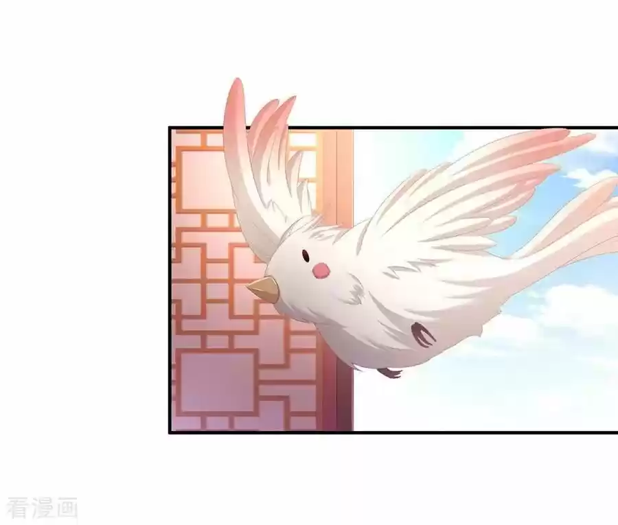 Empress's Harem Chapter 73