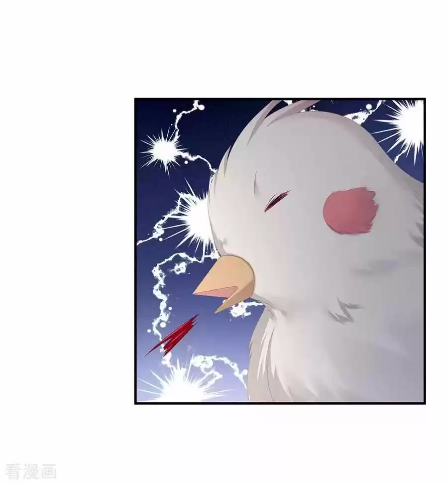 Empress's Harem Chapter 73