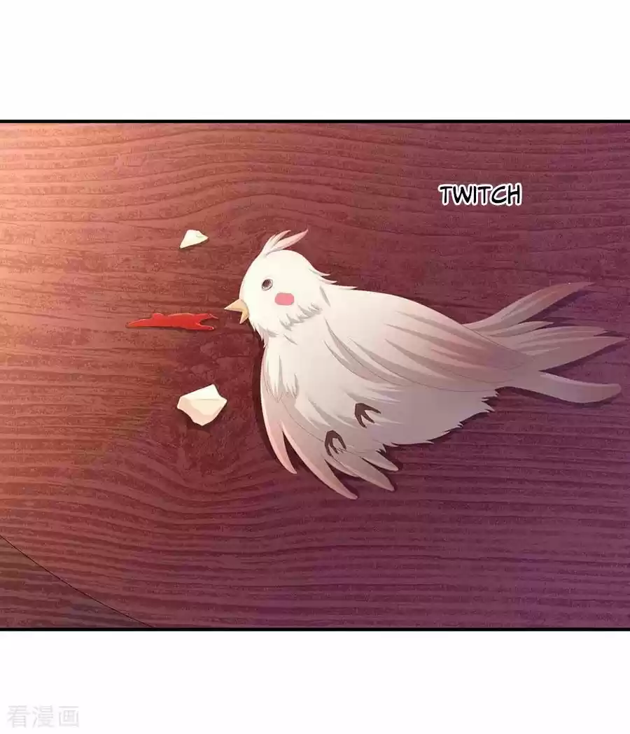 Empress's Harem Chapter 73