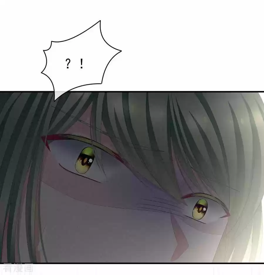 Empress's Harem Chapter 73