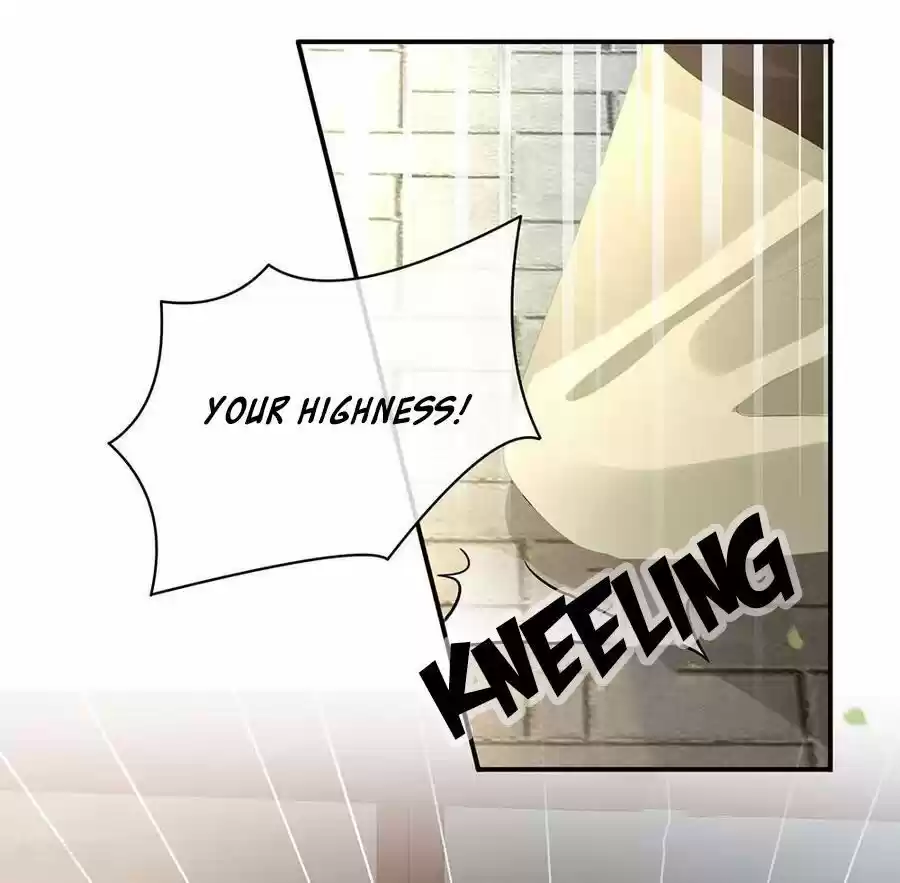 Empress's Harem Chapter 74