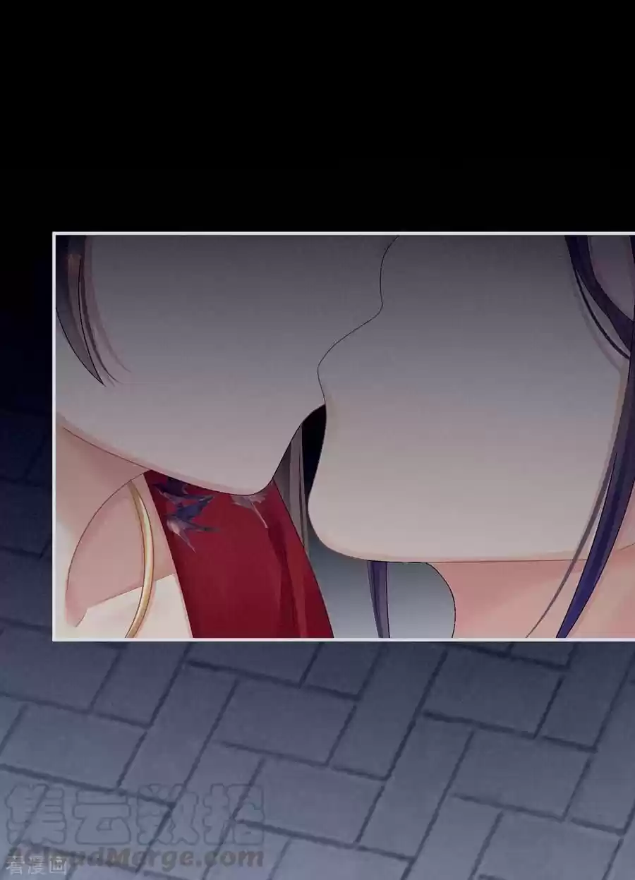 Empress's Harem Chapter 94