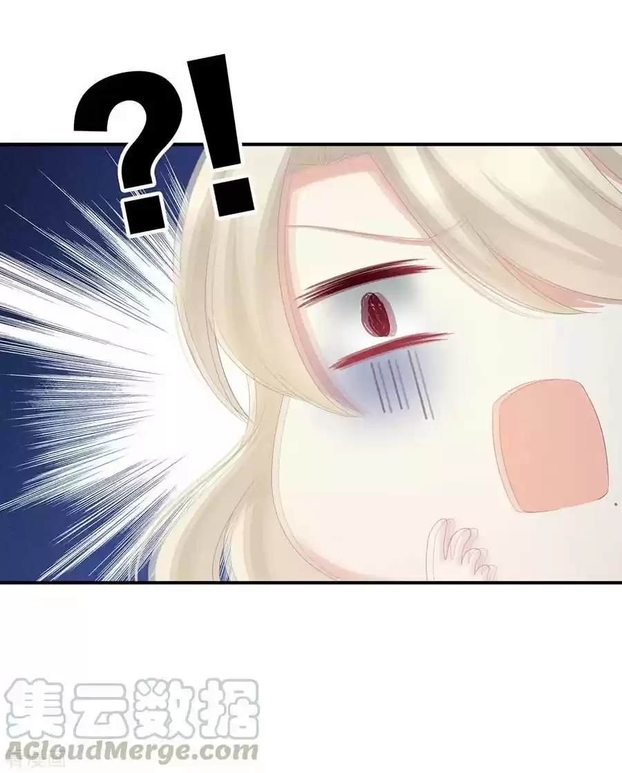 Empress's Harem Chapter 97