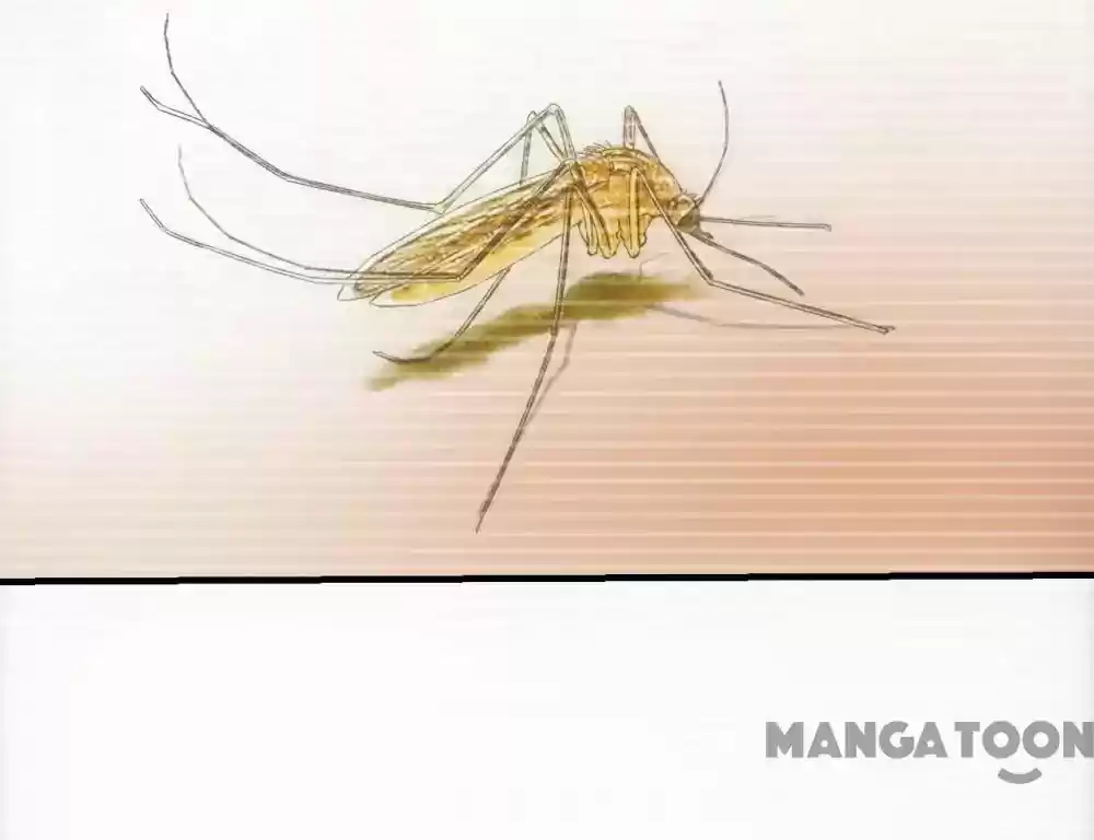 Energy Hunters Episode 31