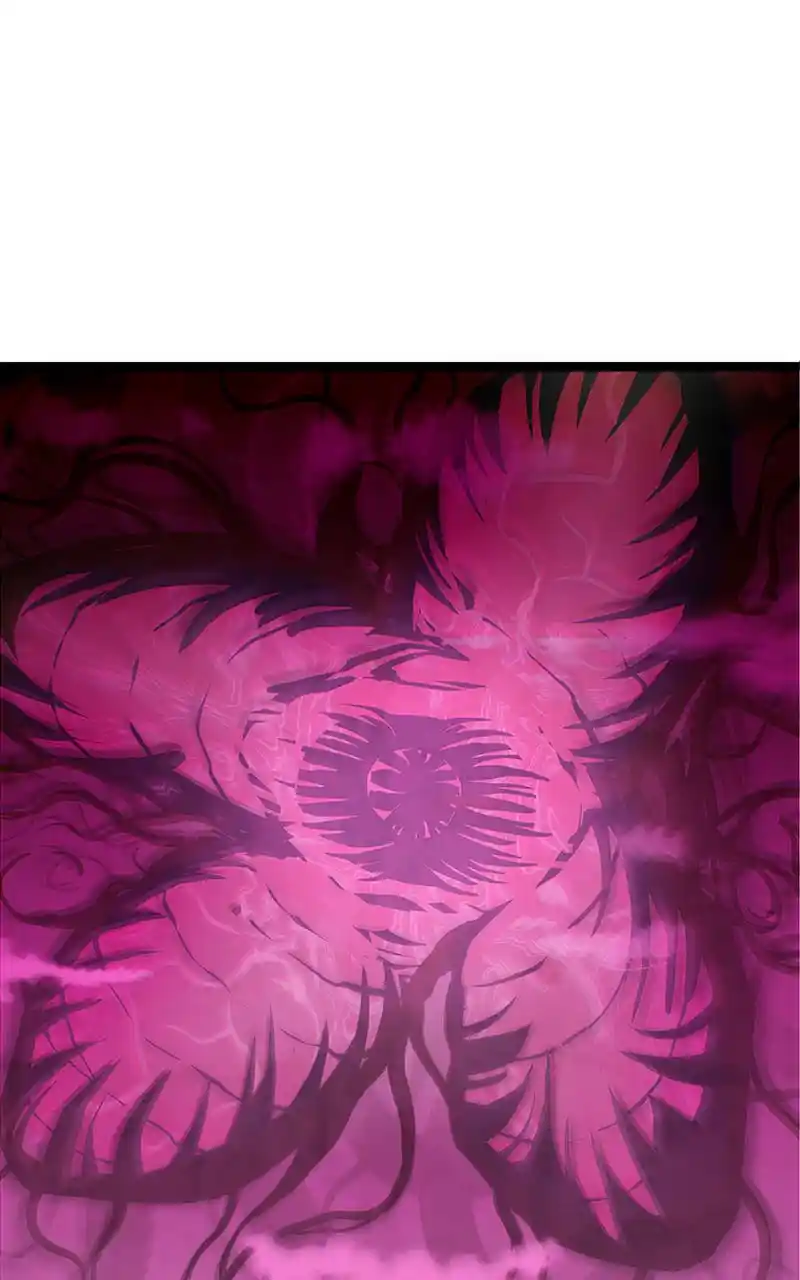 Everywhere & Nowhere 244