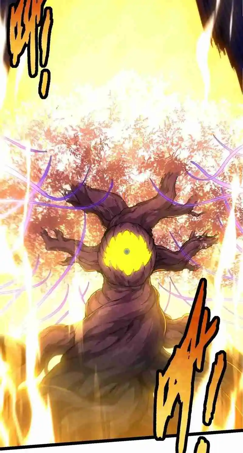 Evolution Begins With a Big Tree 158