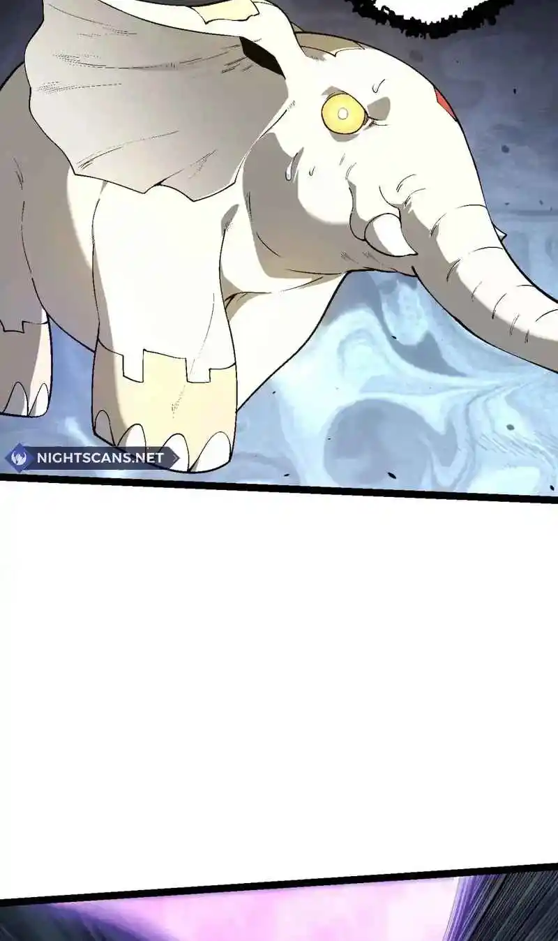 Evolution Begins With a Big Tree 158