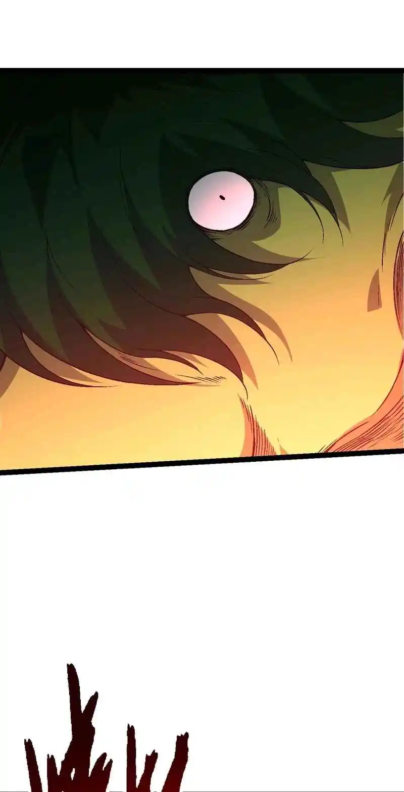 Evolution Begins With a Big Tree 160