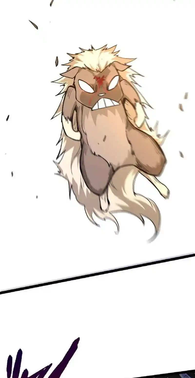 Evolution Begins With a Big Tree 26