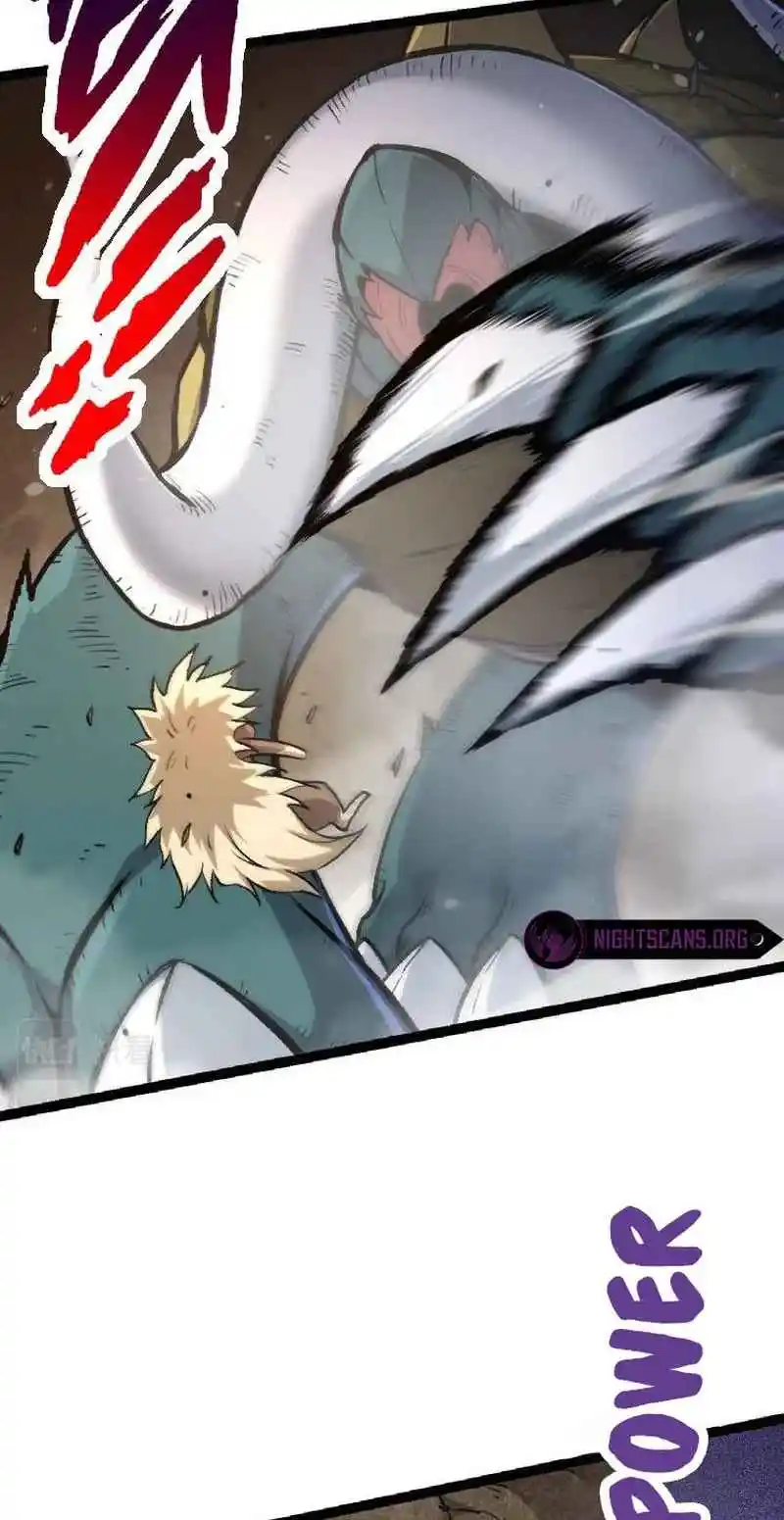 Evolution Begins With a Big Tree 26