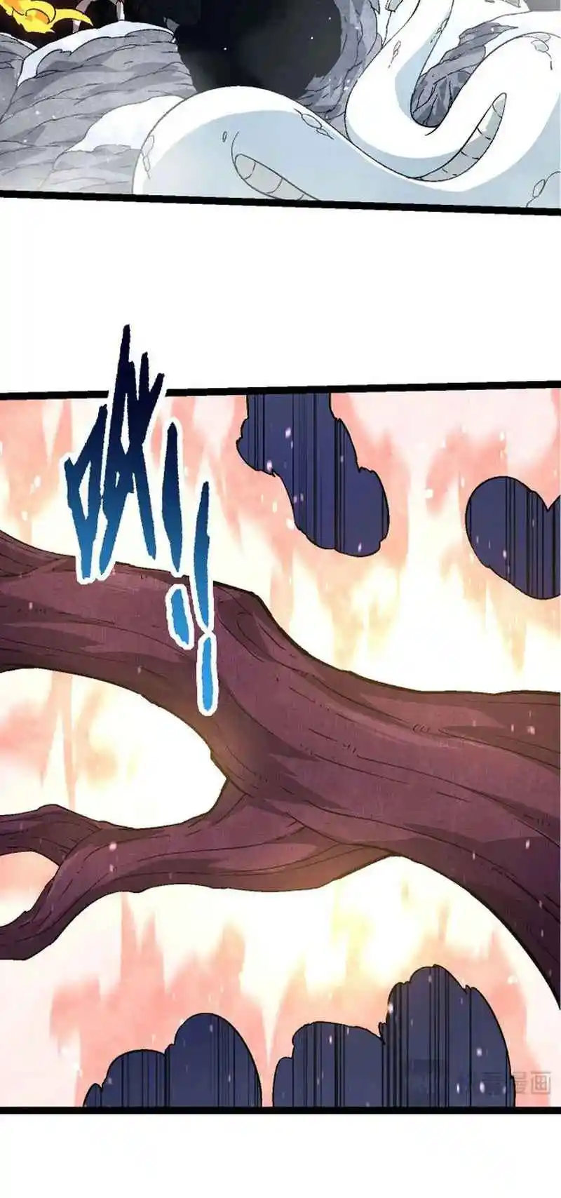 Evolution Begins With a Big Tree 89