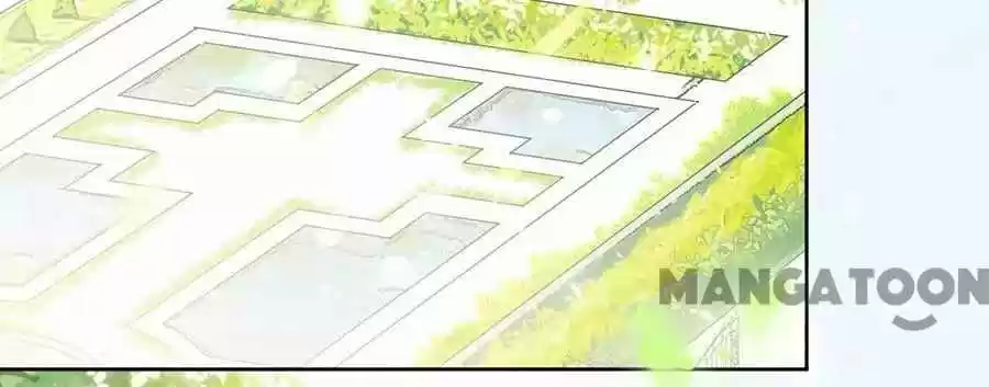 Evolution Of A Perfect Hubby Chapter 125