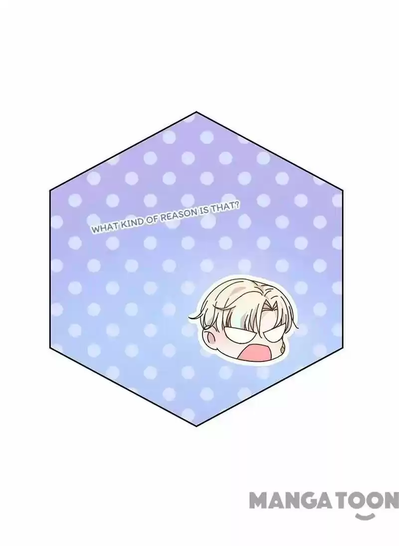 Evolution Of A Perfect Hubby Chapter 131