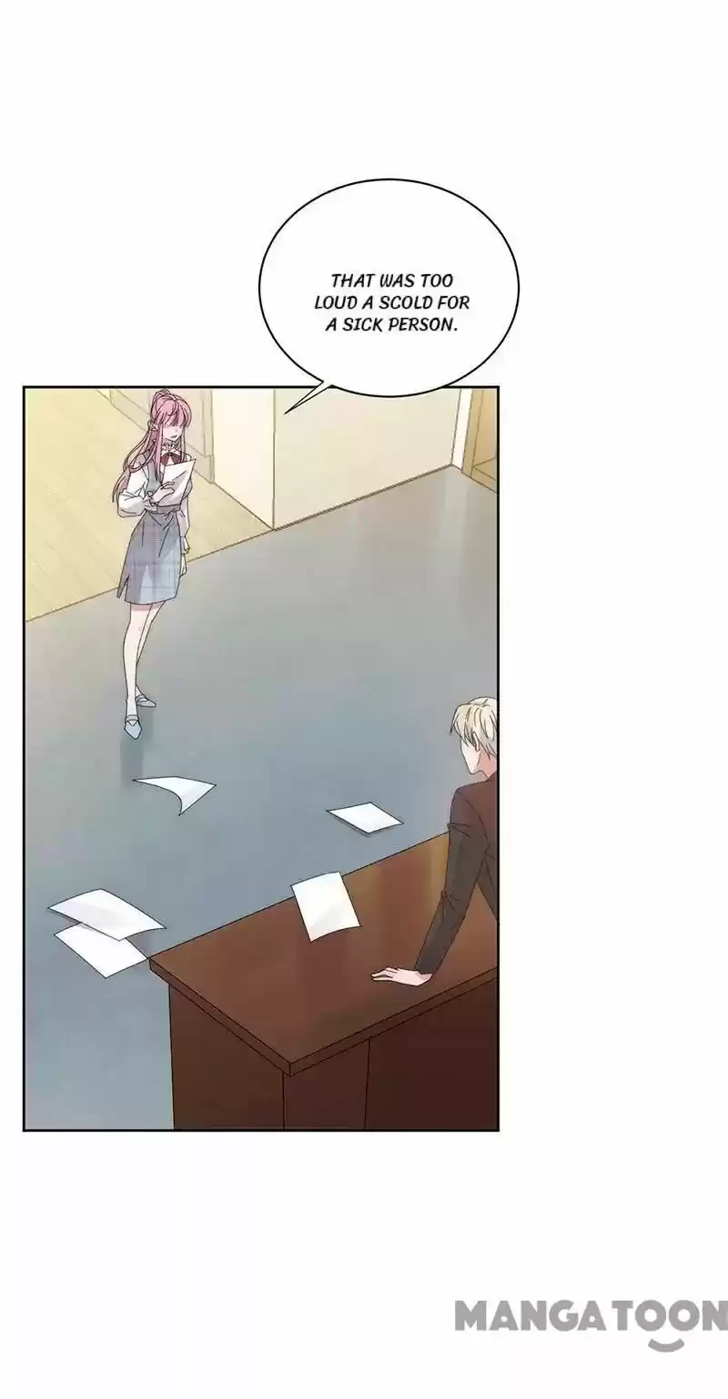 Evolution Of A Perfect Hubby Chapter 135