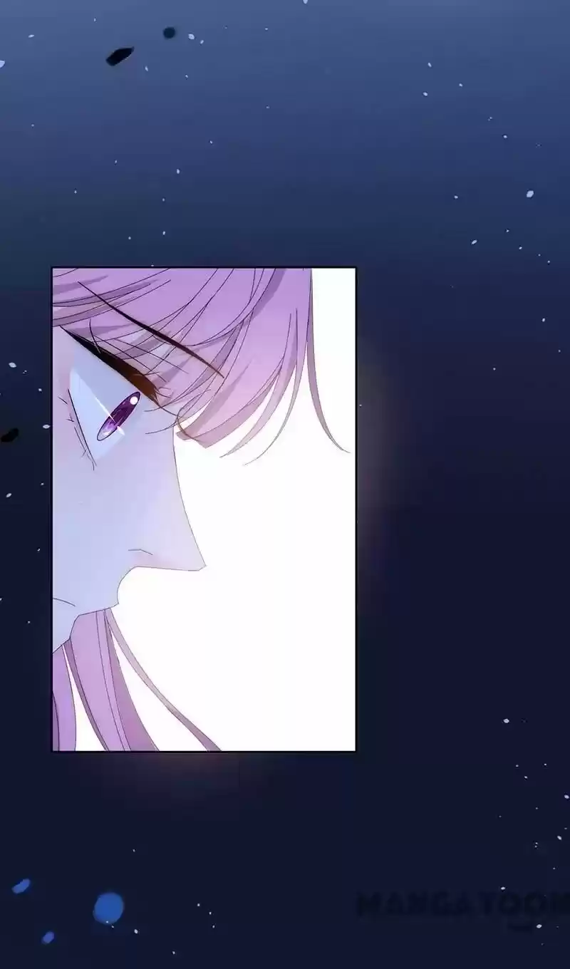 Evolution Of A Perfect Hubby Chapter 135