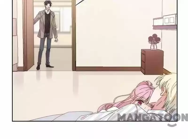 Evolution Of A Perfect Hubby Chapter 137