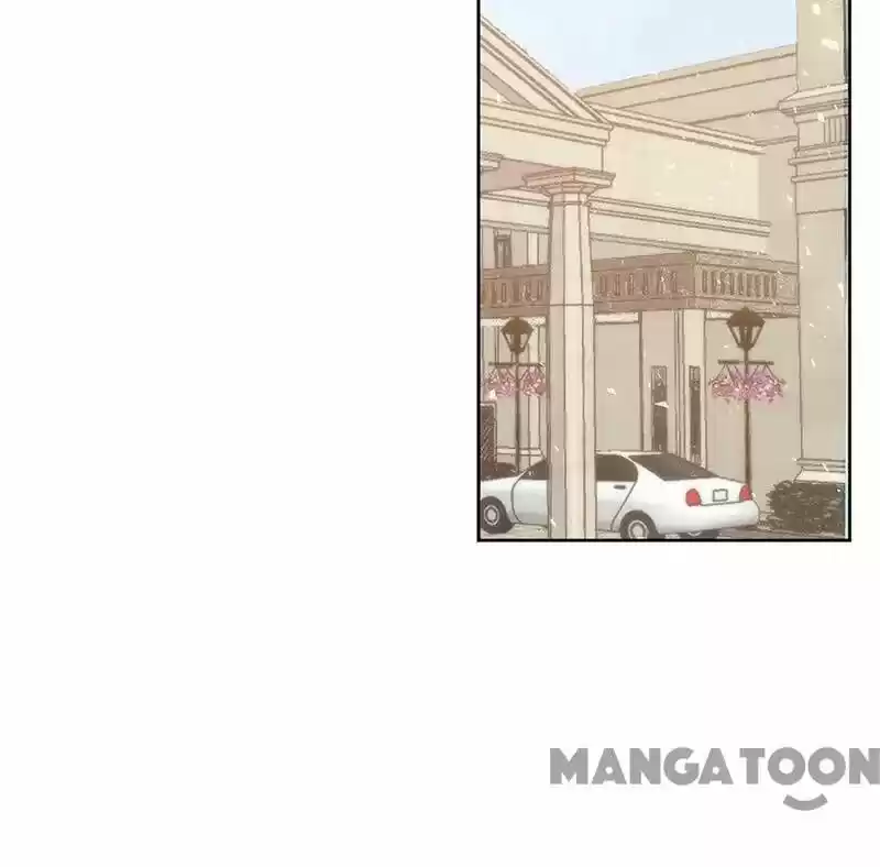 Evolution Of A Perfect Hubby Chapter 137