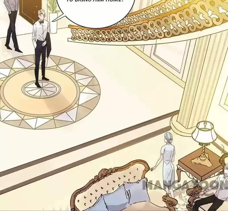 Evolution Of A Perfect Hubby Chapter 141