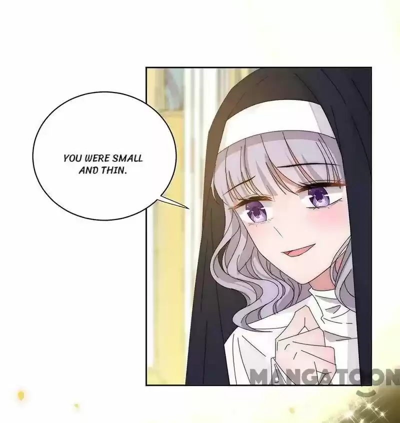 Evolution Of A Perfect Hubby Chapter 142