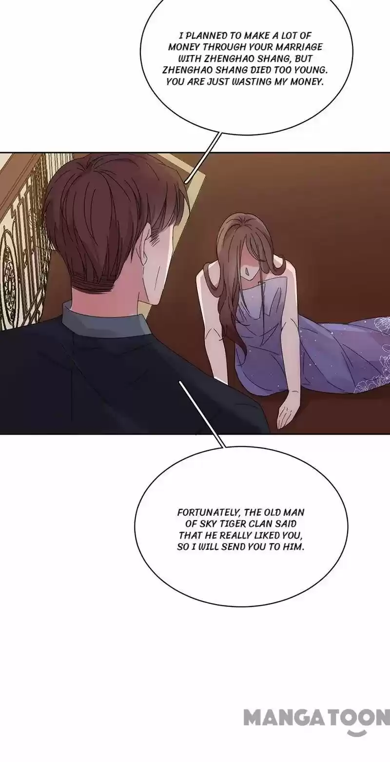 Evolution Of A Perfect Hubby Chapter 147